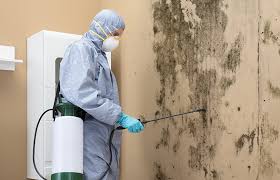 Best Water Damage & Mold Remediation  in Tuscoosa, AL